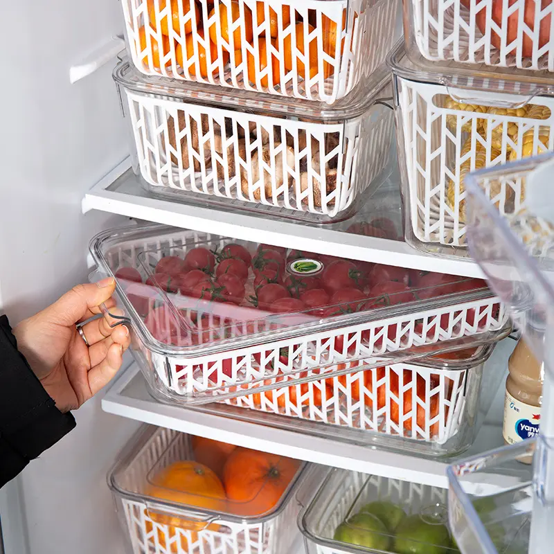 Vegetable-keep-fresh-box-16 Vegetable-keep-fresh-box-16