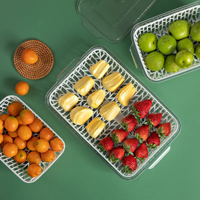 Vegetable-keep-fresh-box-22 Vegetable-keep-fresh-box-22