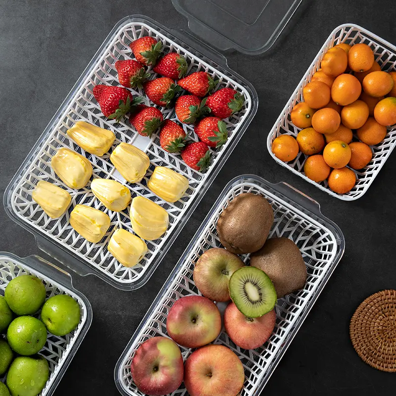 Vegetable-keep-fresh-box-23 Vegetable-keep-fresh-box-23