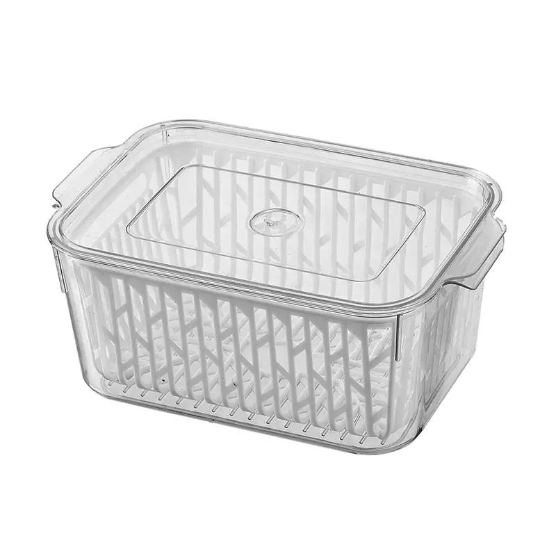 Vegetable keep fresh box-1