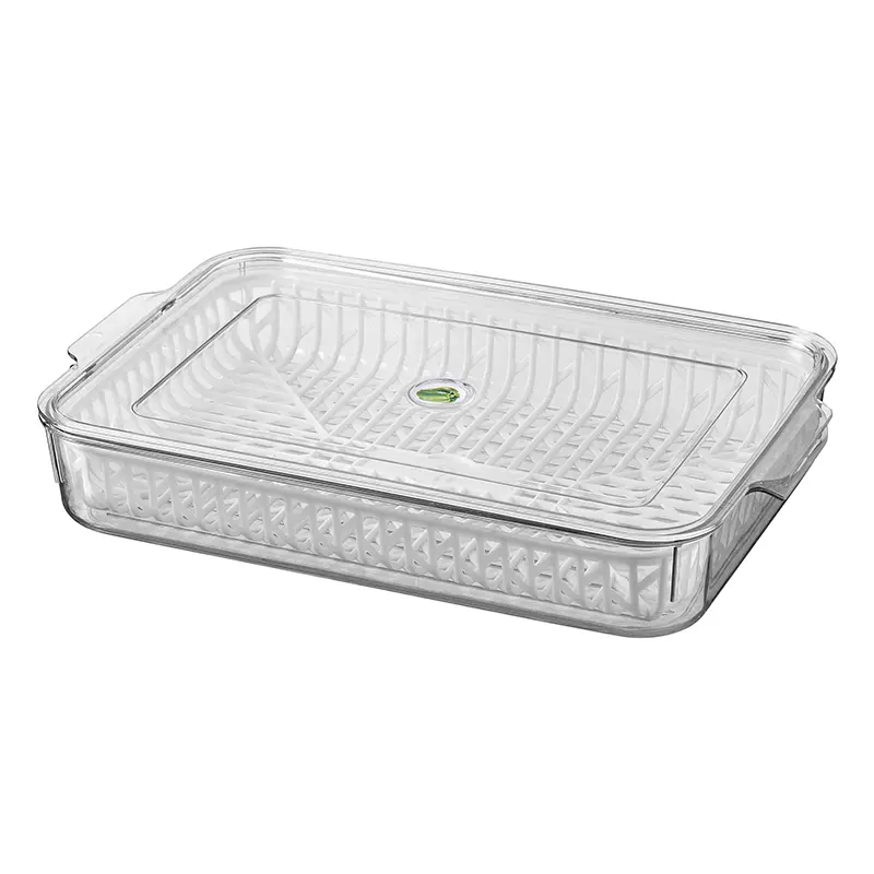 Vegetable keep fresh box-4