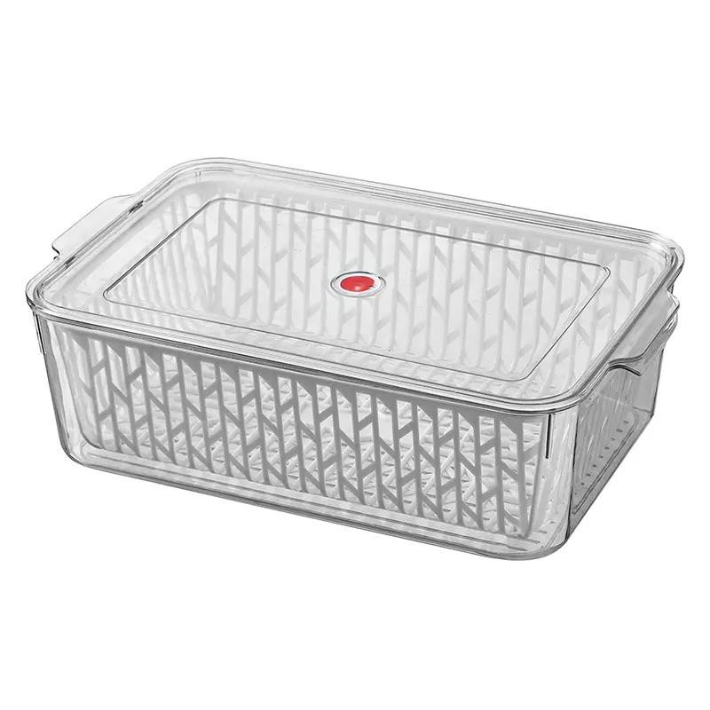 Vegetable keep fresh box-5